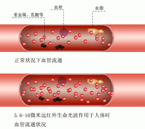 2.gif